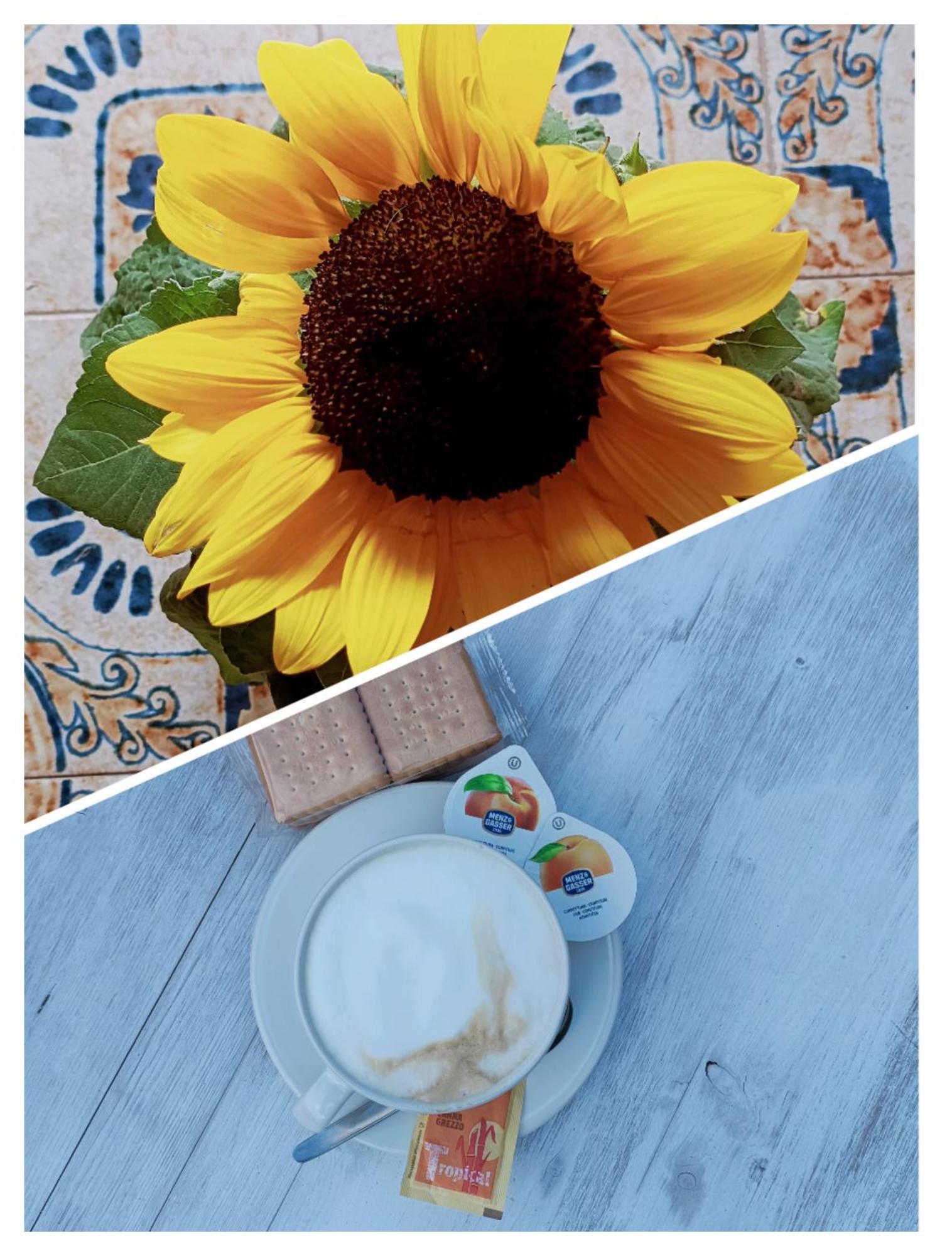 B&B Il Girasole Finale Ligure Luaran gambar